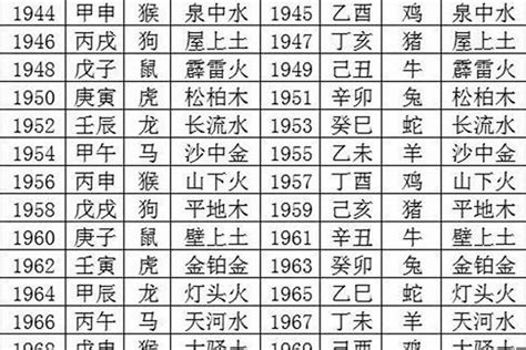 金豬年1995|【1995年 五行】1995年五行屬什麼？揭曉你的命理密碼！